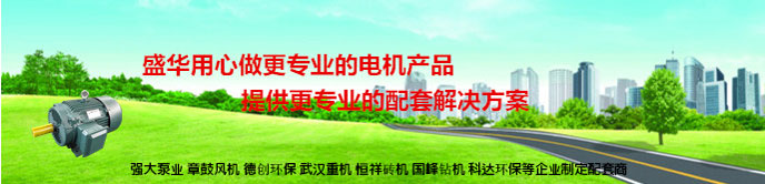 山東電機廠,高效節(jié)能電機,高效電機