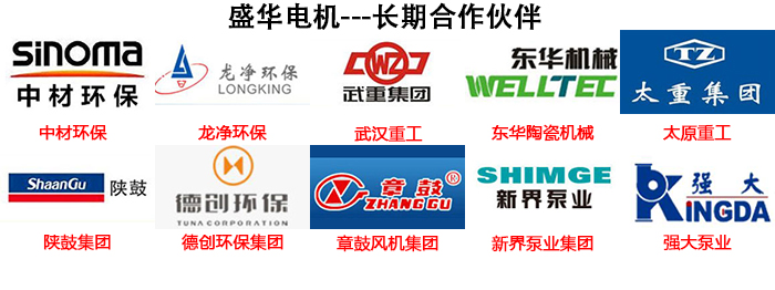 山東電機廠,電機生產(chǎn)廠家,高效節(jié)能電機,盛華電機