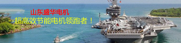 山東盛華電機(jī)生產(chǎn)廠家,高效節(jié)能電機(jī),電機(jī)電流過高