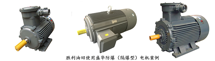 山東電機(jī)廠,大功率防爆電機(jī),山東電機(jī),防爆電機(jī)
