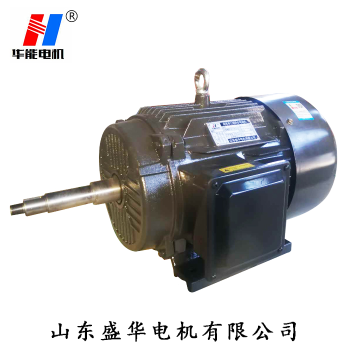 聊城電機(jī)廠,大功率電動機(jī),電動機(jī)