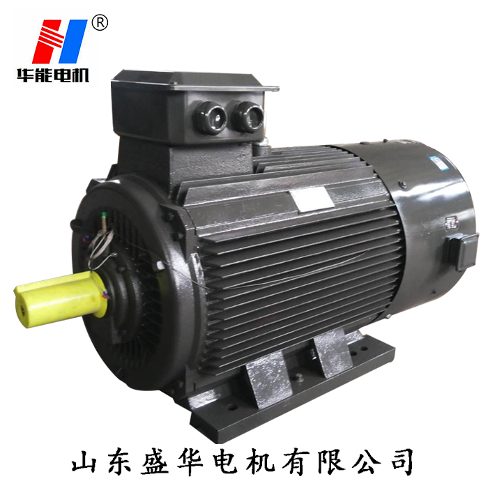 山東電機(jī),聊城電機(jī)廠,大功率電動(dòng)機(jī),電動(dòng)機(jī)