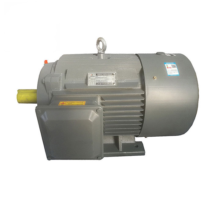 山東電機(jī)廠,大功率電機(jī),高效電機(jī),大功率高效電機(jī)