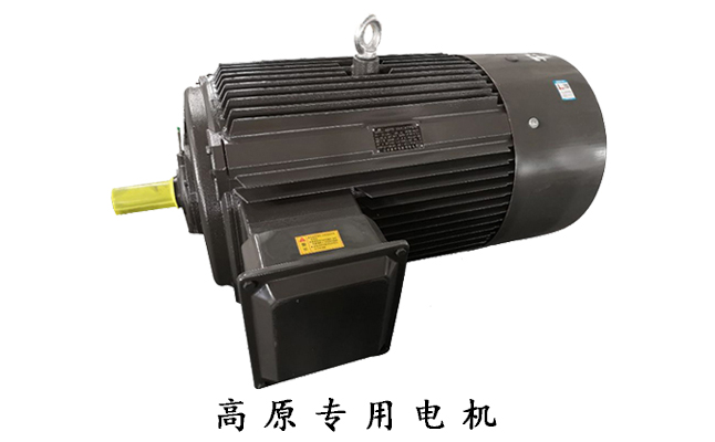 山東電機(jī)廠,電機(jī)廠家,高原電機(jī)