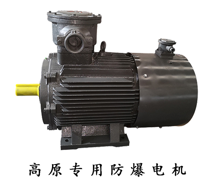 山東電機(jī)廠,電機(jī)廠家,高原電機(jī)