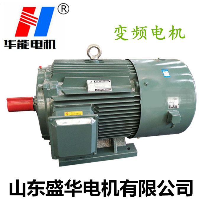 山東電機廠,電機生產(chǎn)廠家,三相異步電機,變頻電機