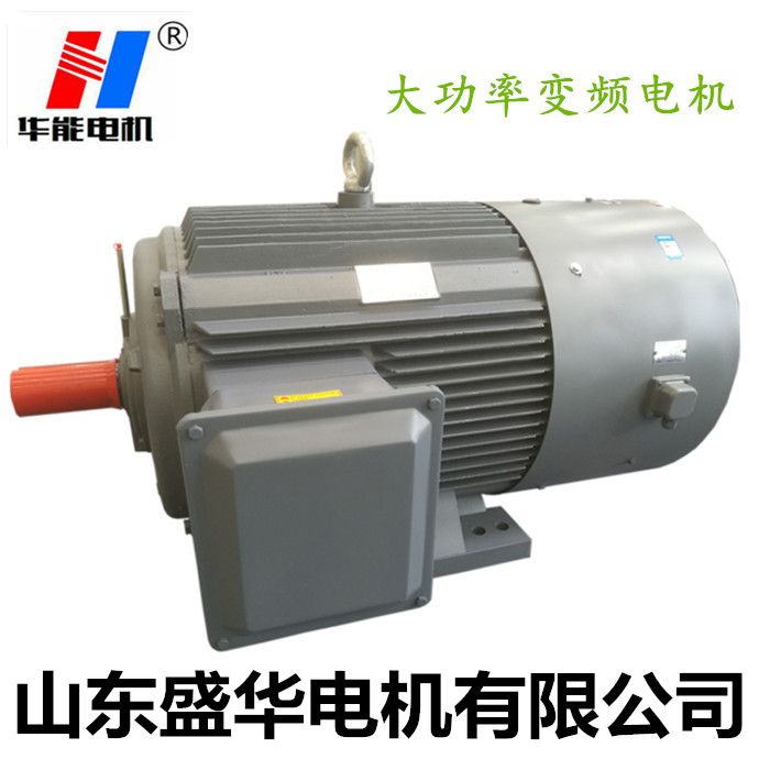 YEVP變頻調(diào)速三相異步電動機 電機廠,山東電機廠,變頻調(diào)速電機,變頻電機