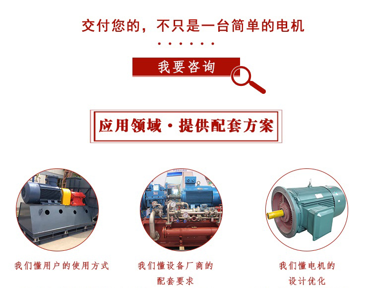 山東電機,山東電機廠,變頻電機,變頻調(diào)速電動機