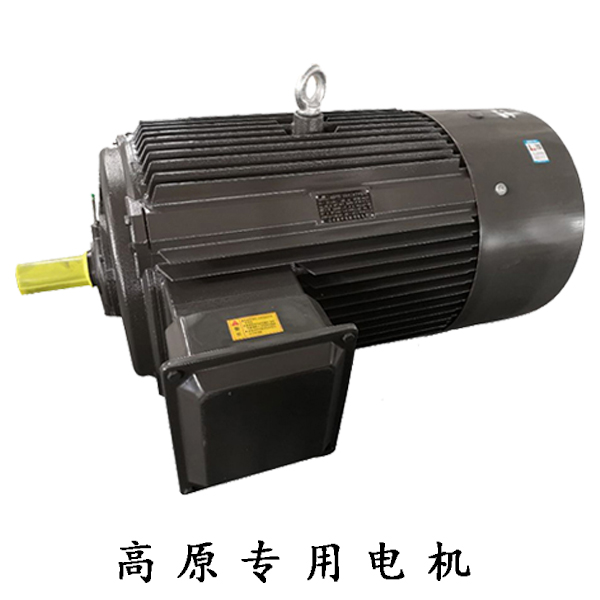 山東盛華高原電機(jī)