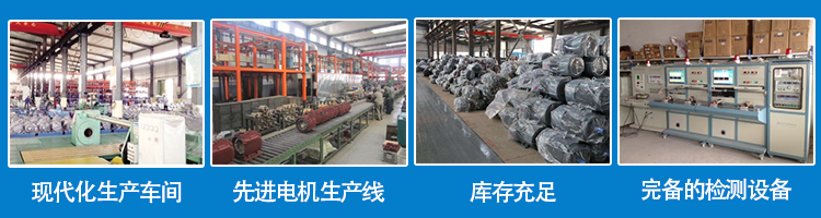 山東盛華電機(jī)生產(chǎn)廠(chǎng)家