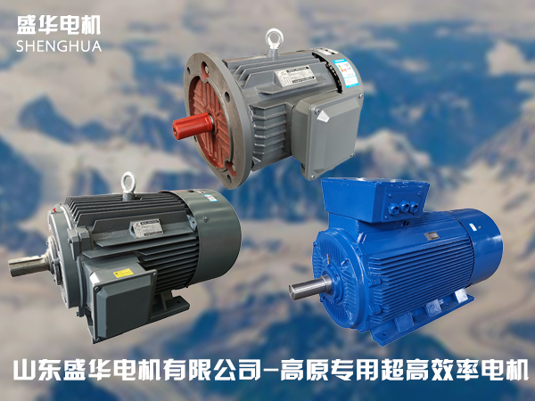 盛華電機(jī)廠家高原電機(jī)